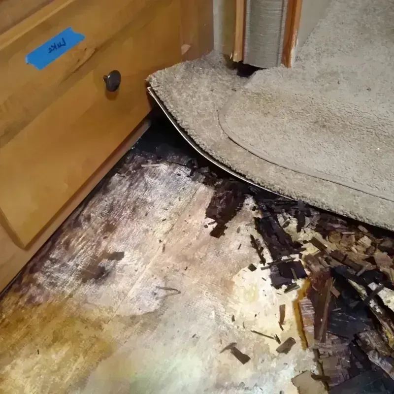 Wood Floor Water Damage in Cornelius, NC